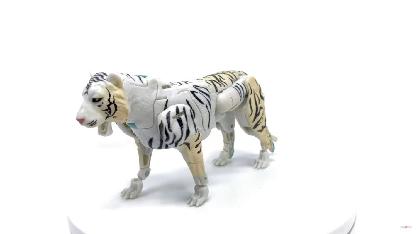 tigatron wfc